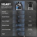 Nutrabay Yeast Protein Powder - Rich Chocolate Crème