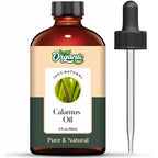 Organic Zing Calamus (Acorus Calamus) Oil | Pure & Natural Essential Oil for Skincare, Hair Care, Aroma & Diffusers