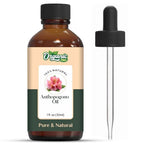 Organic Zing Anthopogon (Rhododendron anthopogon) Oil | Pure & Natural Essential Oil for Skincare, Aroma & Diffusers