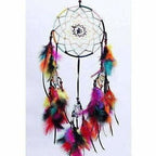 Dream Catcher- Poly chrome