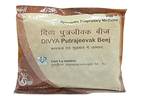 Patanjali Divya Putrajeevak Beej - Distacart