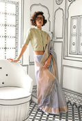 Monjolika Fashion Chiffon Grey Weaving Traditional Saree - Distacart