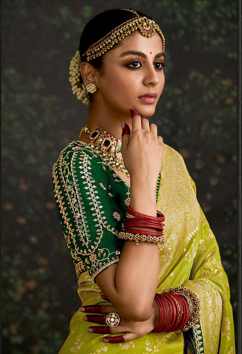 Monjolika Fashion Sequins Embroidered Border Work Dola Silk Pear Reception Classic Saree - Distacart