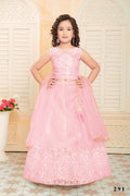 Kids Functional Designer Pink soft NetLehenga choli - Aaradhna