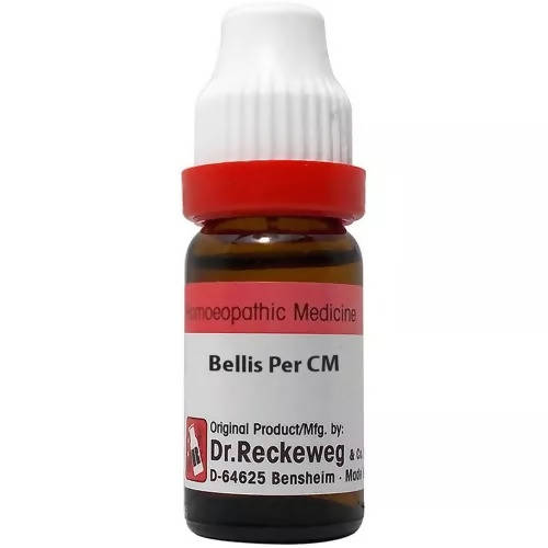 Dr. Reckeweg Bellis Per Dilution - Distacart