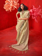 Monjolika Fashion Light Green Tissue Weaving Zari Ceremonial Contemporary Saree - Distacart