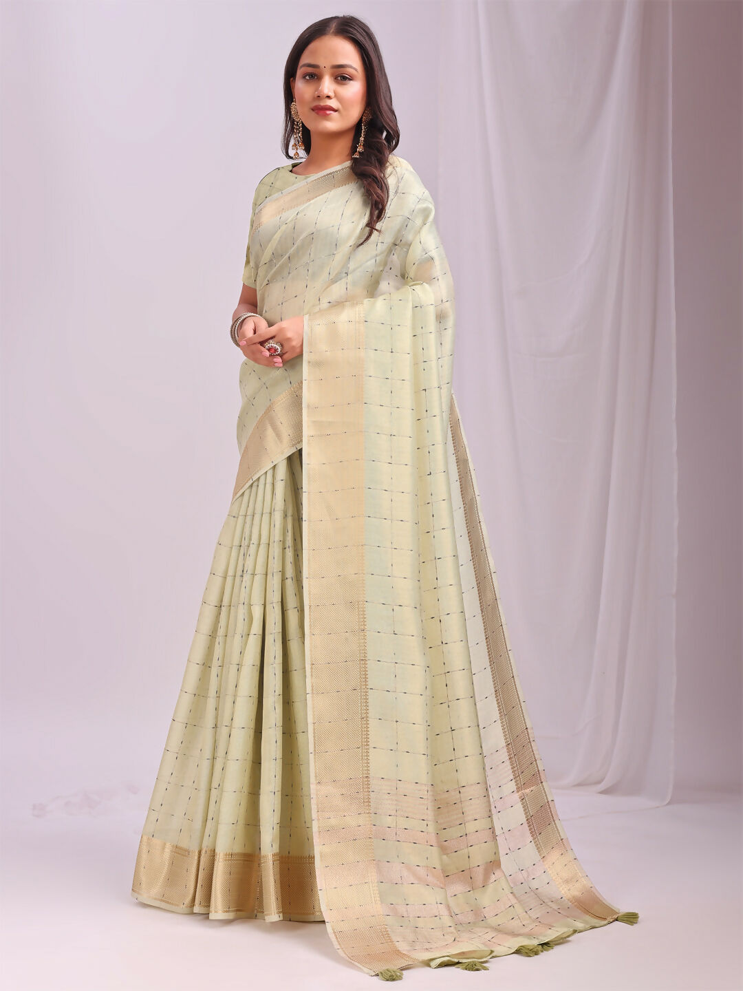 Shree Shyam Fashion Organza Light Green Saree - Distacart