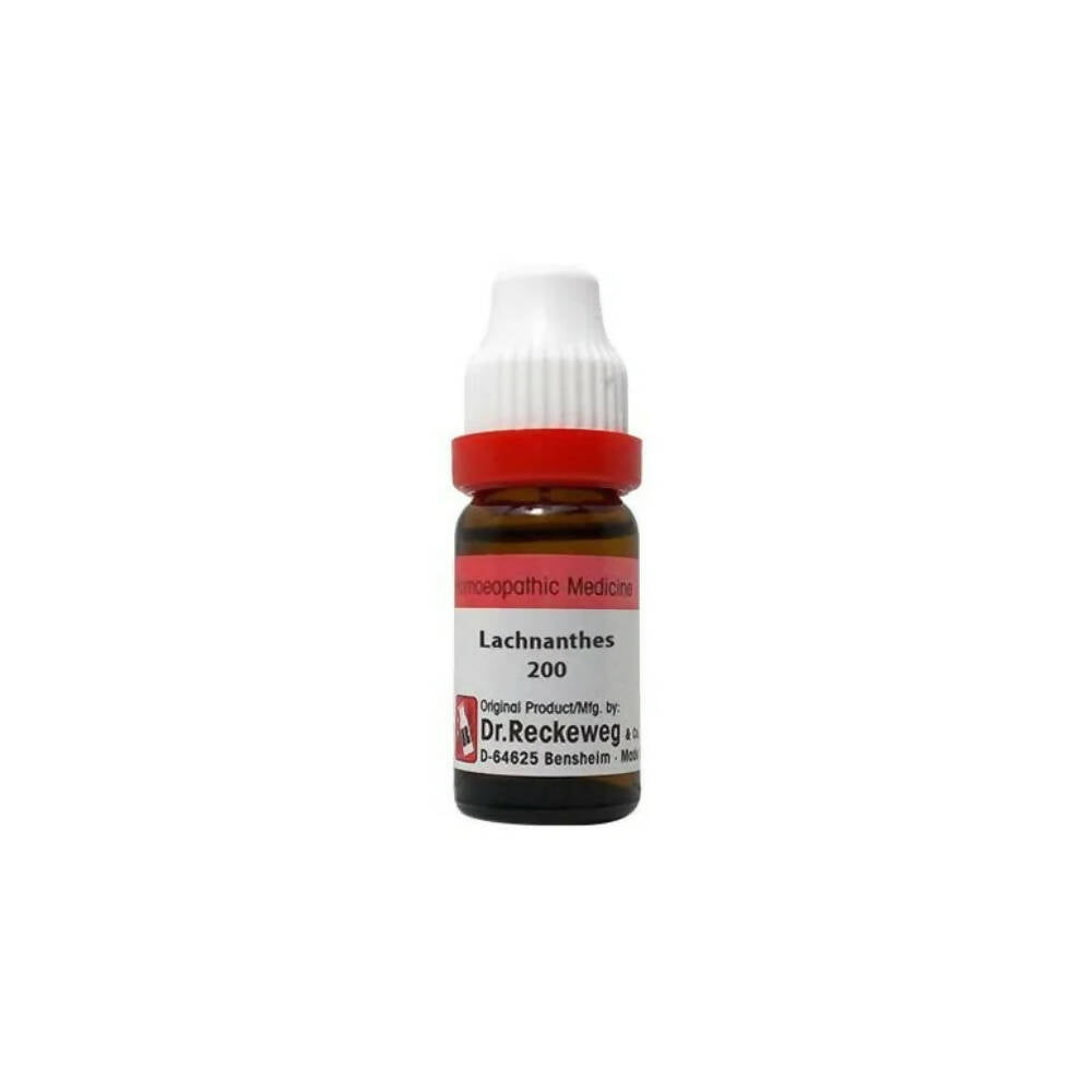 Dr. Reckeweg Lachnanthes Dilution - Distacart
