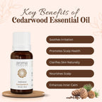 Aroma Treasures Cedarwood Pure Essential Oil - Distacart
