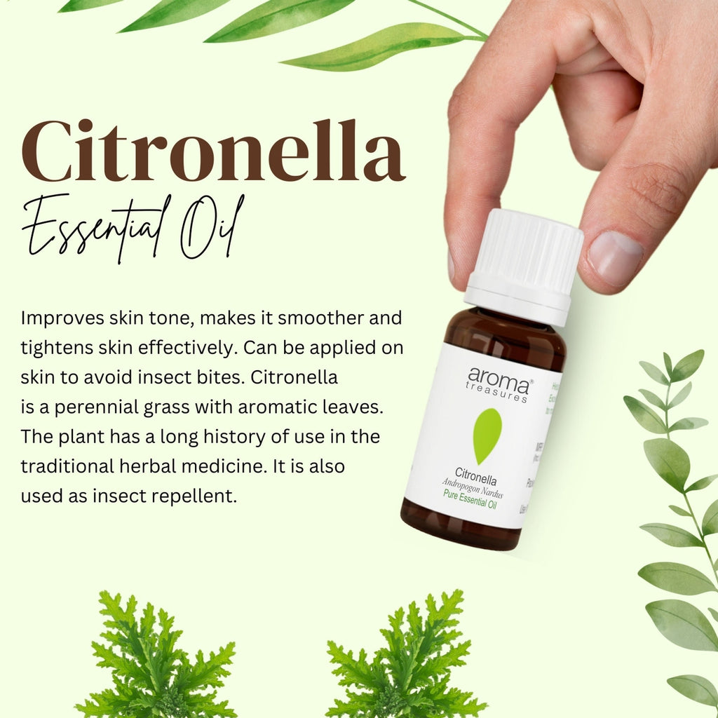 Aroma Treasures Citronella Pure Essential Oil