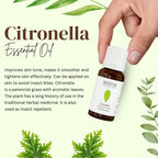 Aroma Treasures Citronella Pure Essential Oil