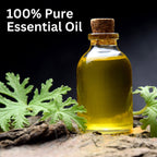 Aroma Treasures Citronella Pure Essential Oil