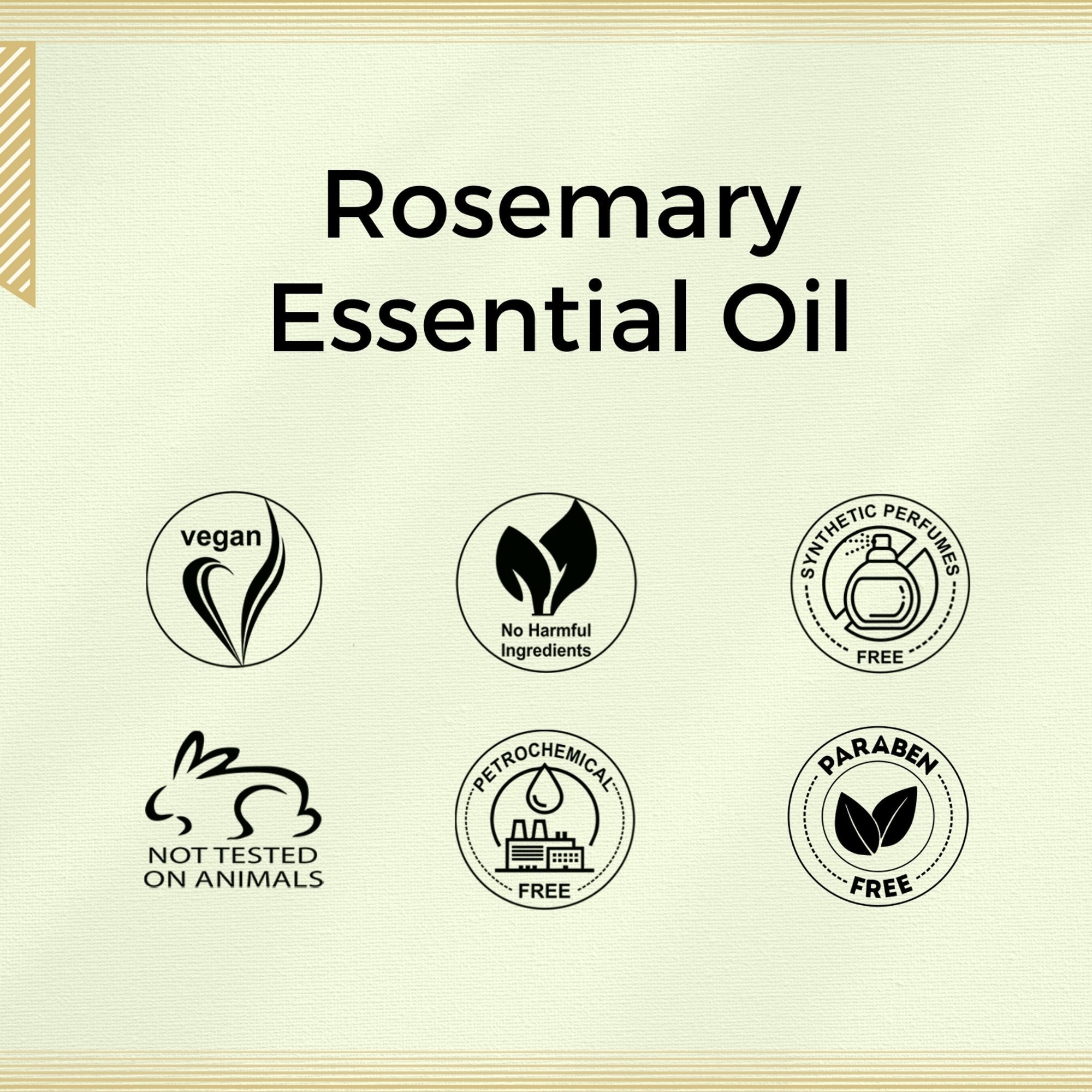Aroma Treasures Rosemary Pure Essential Oil - Distacart