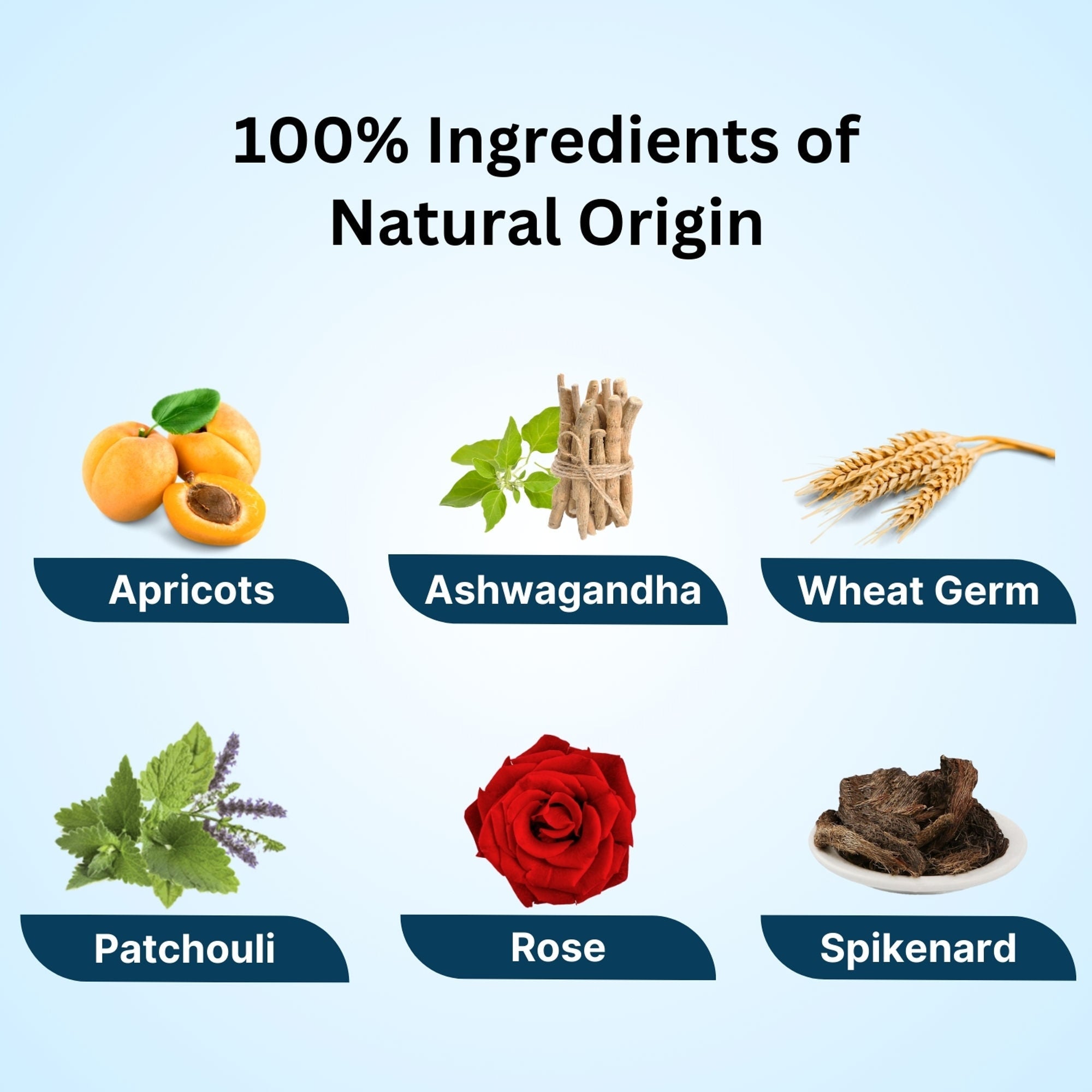 Aroma Treasures Regenerating Uplifting Oil