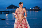 House of Panchhi Peach Net Sequins, Mirror And Thread Embroidery Lehenga Choli & Dupatta
