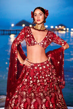 House of Panchhi Red Net Sequins, Mirror And Thread Embroidery Lehenga Choli & Dupatta