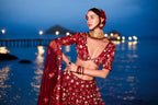 House of Panchhi Red Net Sequins, Mirror And Thread Embroidery Lehenga Choli & Dupatta