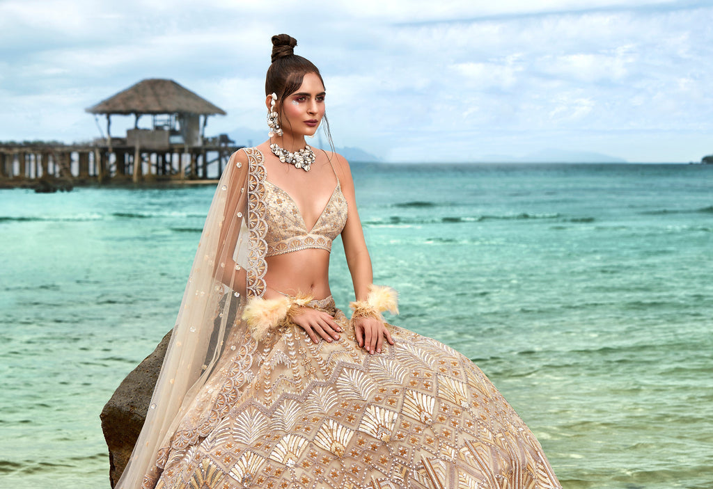 House of Panchhi Cream Net Sequins, Zarkan And Thread Embroidery Lehenga Choli & Dupatta