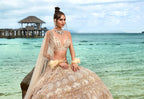 House of Panchhi Cream Net Sequins, Zarkan And Thread Embroidery Lehenga Choli & Dupatta