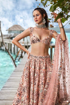 House of Panchhi Peach Organza Sequins, Moti And Thread Embroidery Lehenga Choli & Dupatta