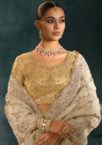 Monjolika Fashion Cream Banarasi Silk With Lakhanvi And Zarkan Work Blend Saree - Distacart