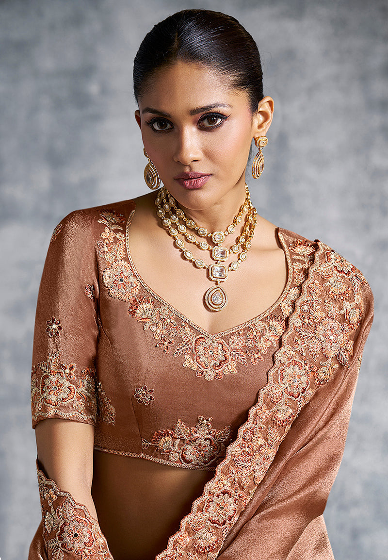 Monjolika Fashion Brown Tissue Traditional Saree with Embroidered, Resham and Thread Work for Ceremonial - Distacart