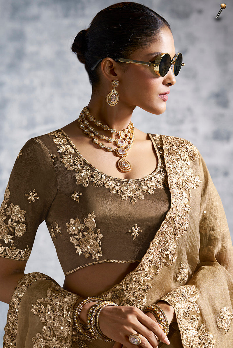 Monjolika Fashion Beige Tissue Traditional Saree with Embroidered, Resham and Thread Work for Ceremonial - Distacart