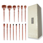 IRIS COSMETICS Luminous Complete Brush Set