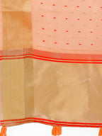 Shree Shyam Fashion Florance Peach Organza Saree
