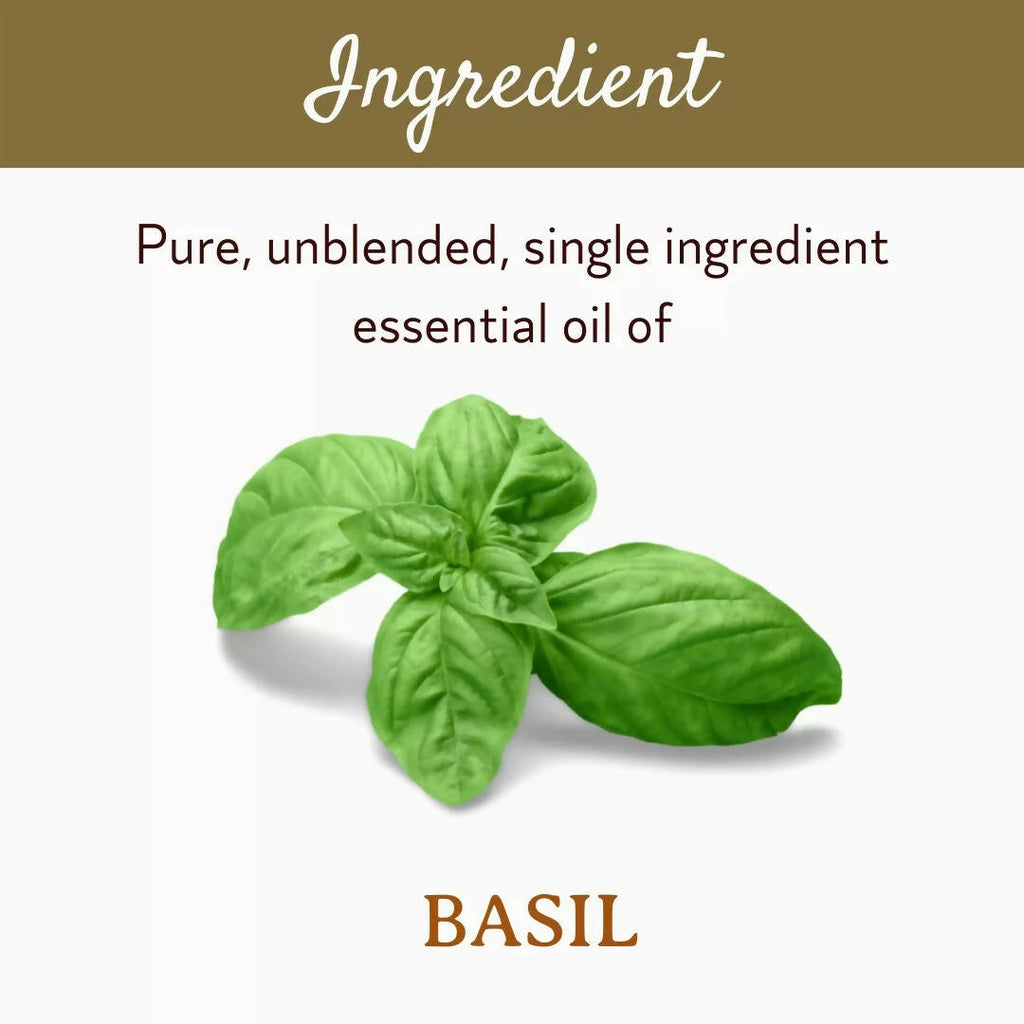 Mitti Se Basil Essential Oil