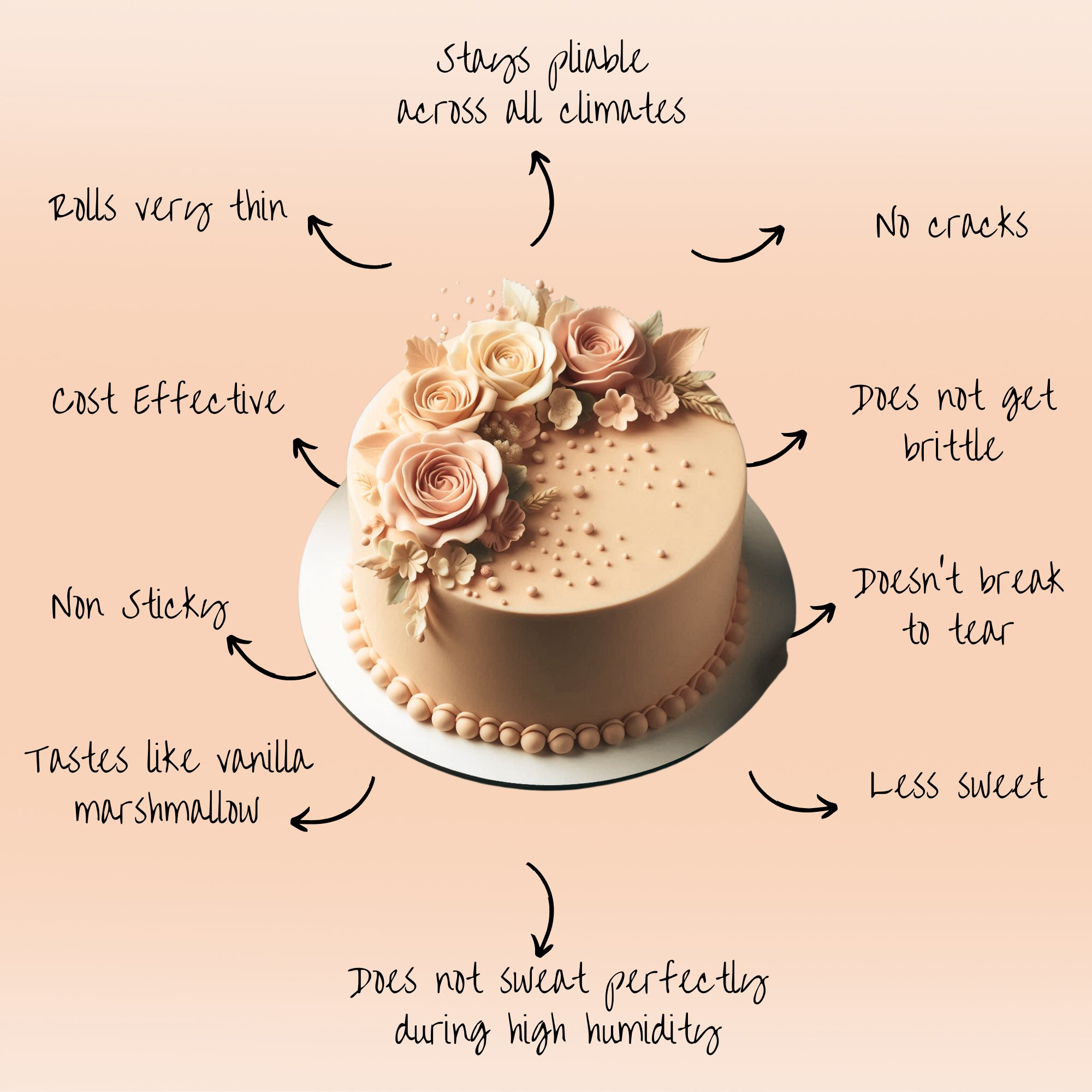 confect skin sugarpaste br b 1 kg b