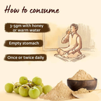 Isha Life Nelli Podi (Amla Powder) - Distacart