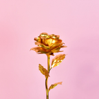 Sowpeace Golden Love - Distacart