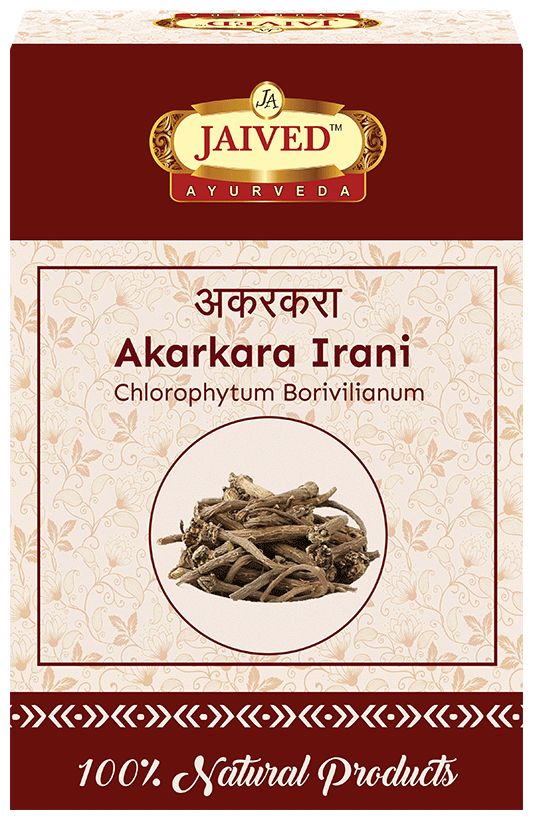 Jaived Ayurveda Akarkara Irani