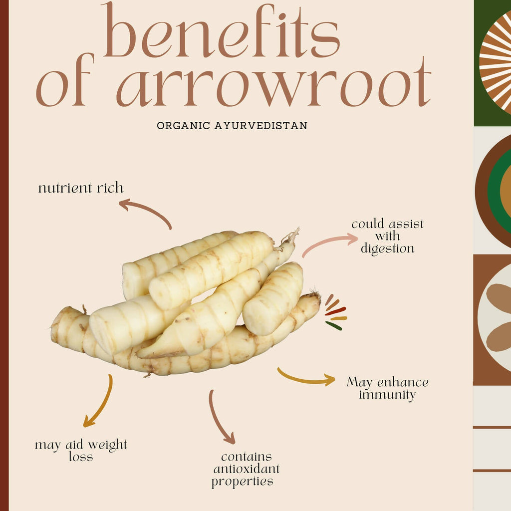 Organic Ayurvedistan Arrow Root Powder - Distacart