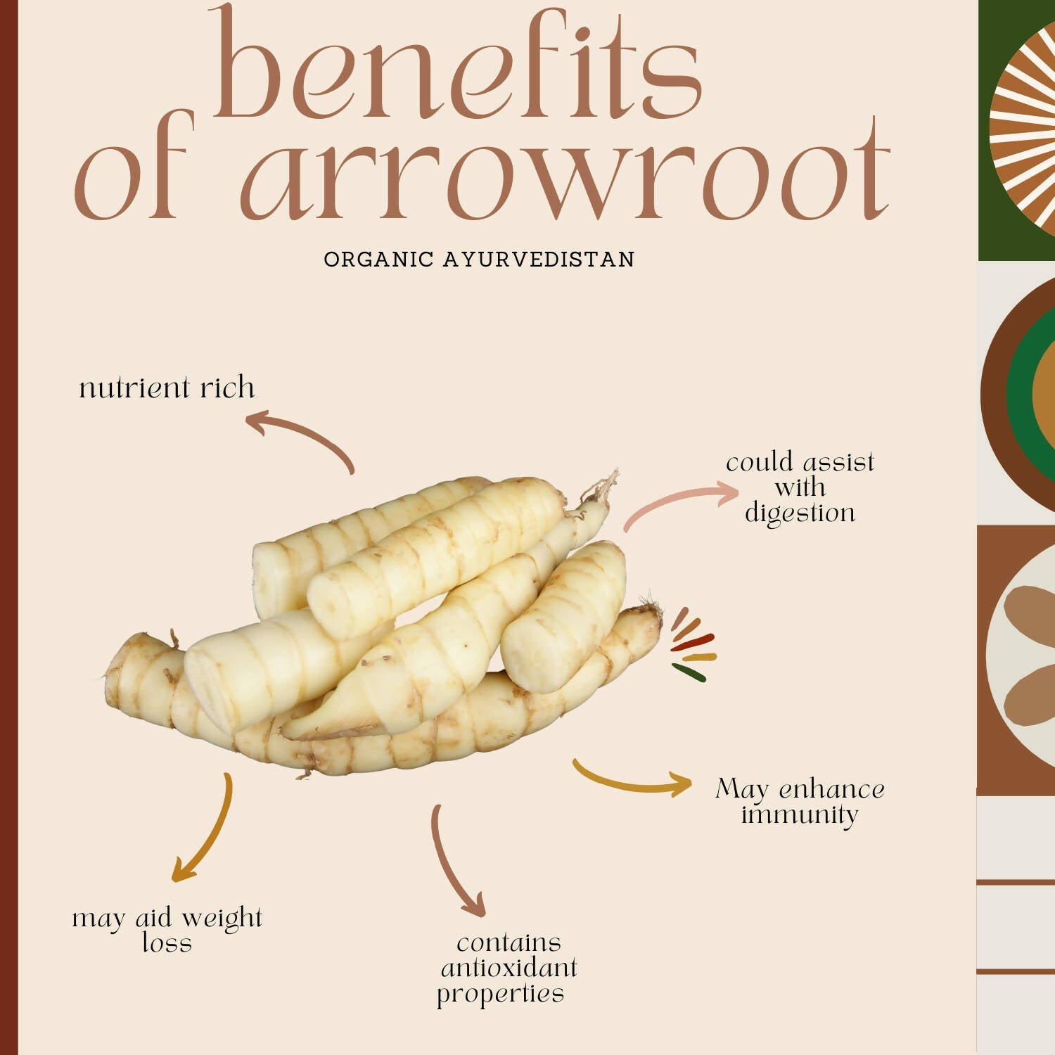 Organic Ayurvedistan Arrow Root Powder - Distacart