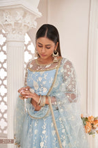 Eilara Women'S Sky Blue Butterfly Net Embroidered Thread Work Festivals Lehenga Choli