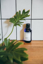 Pyunkang Yul Essence Toner