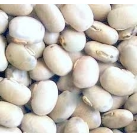 Nxtgen Ayurveda Kaunch Beej - White