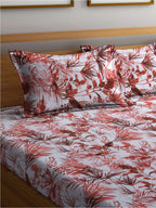 BOMBAY DYEING Serenita Brown Printed Cotton 144 TC Queen Bedsheet with 2 Pillow Covers