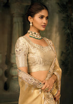 Monjolika Fashion Beige Silk Blend Saree With Embroidered Jari And Cut-Dana Work - Distacart