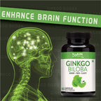 Vokin Biotech Ginkgo Biloba with Brahmi Boosts Concentration & Learning Activities
