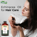 Organic Zing Echinacea (Echinacea angustifolia) Oil | Pure & Natural Carrier Oil for Skincare and Hair Care