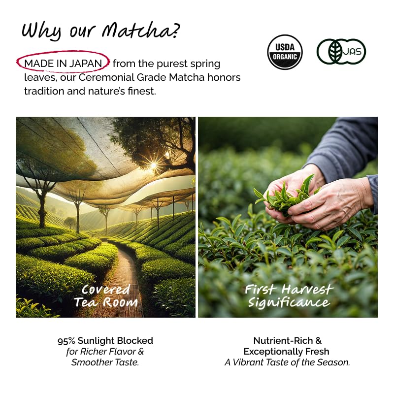 ILEM JAPAN Japanese Matcha Tea (25g) | Pure Ceremonial Grade Organic Japanese Matcha|First Harvest|Authentic & Premium Matcha Tea Powder Sourced From Kagoshima,Japan