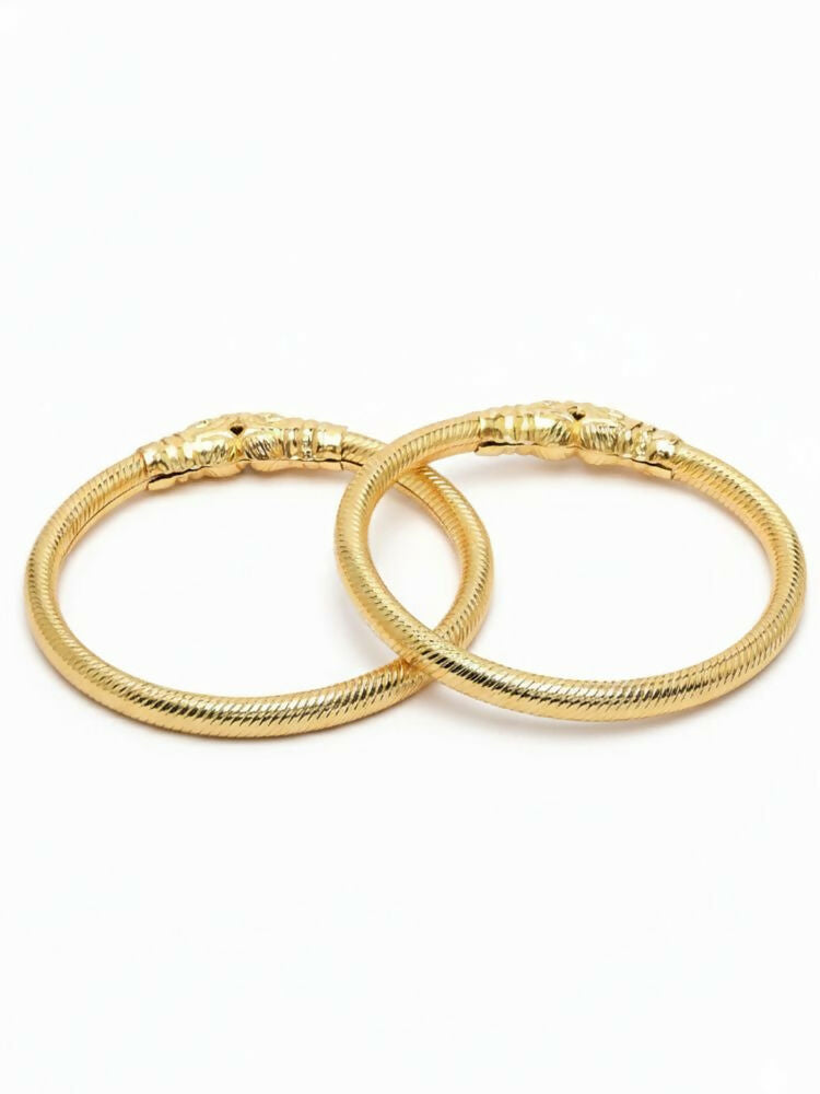 NVR Women Set of 2 Gold Plated Traditional Kada Bangle - Distacart
