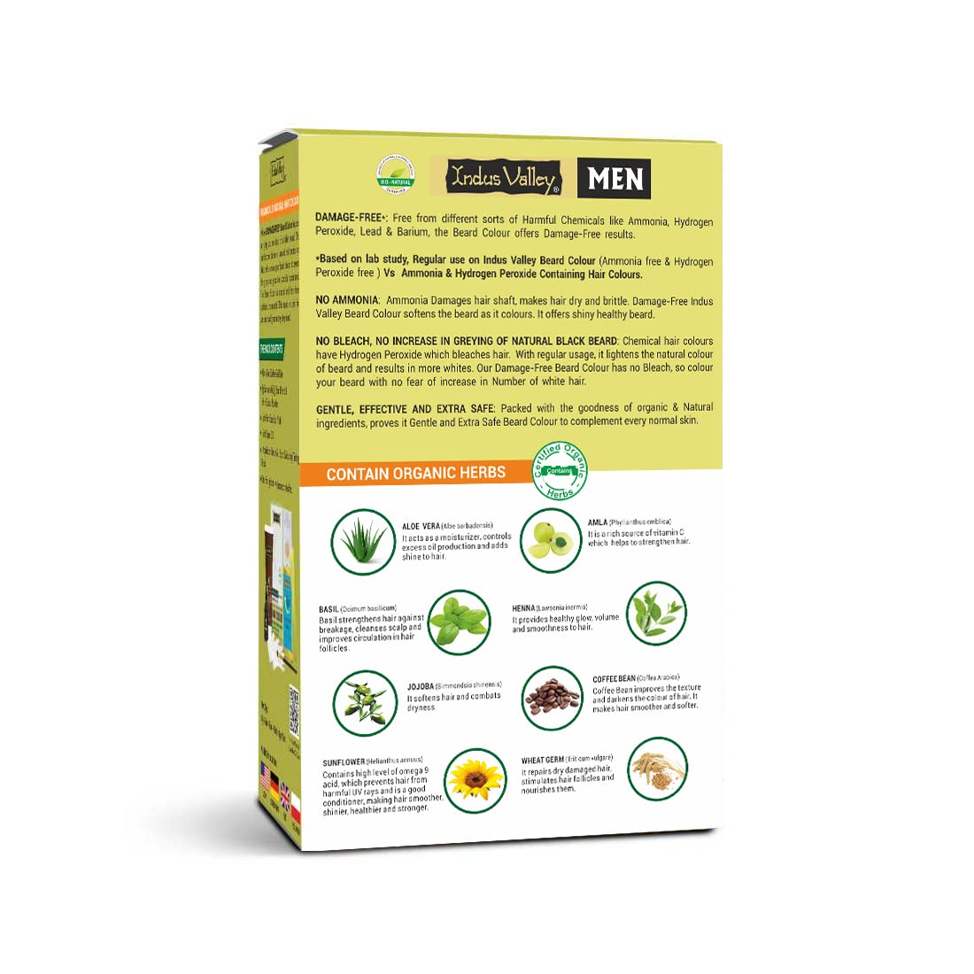 Indus Valley Natural Damage Free Men Mustache & Beard Color for Gray Hair Black