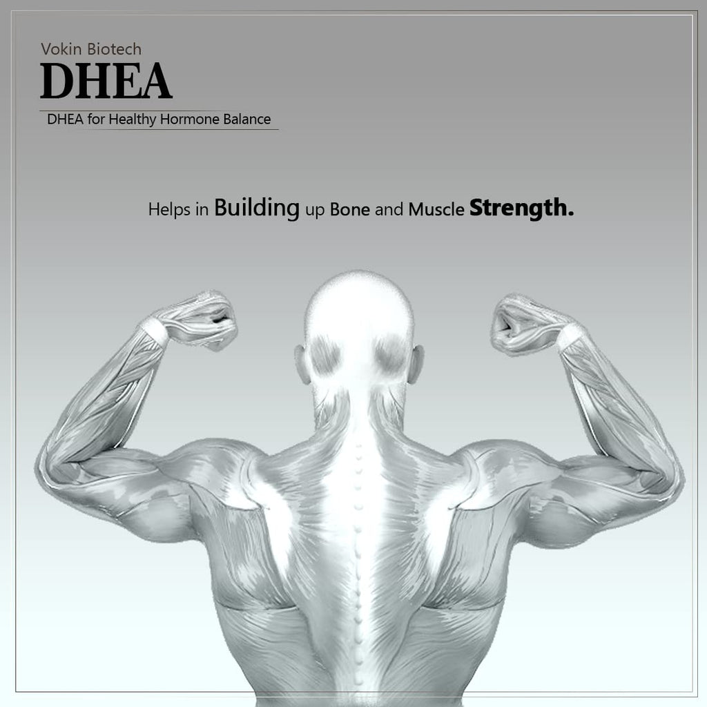 Vokin Biotech DHEA 50mg | Supports Healthy Mood |