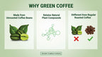 Vokin Biotech Organic Green Coffee Beans Unroasted Arabica Coffee Supports Weight Loss Management (500 Gram)-