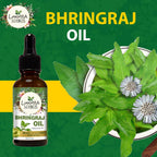 Luxura Sciences Organic Bhringraj Oil Pure and Natural Premium Therapeutic Grade Oil