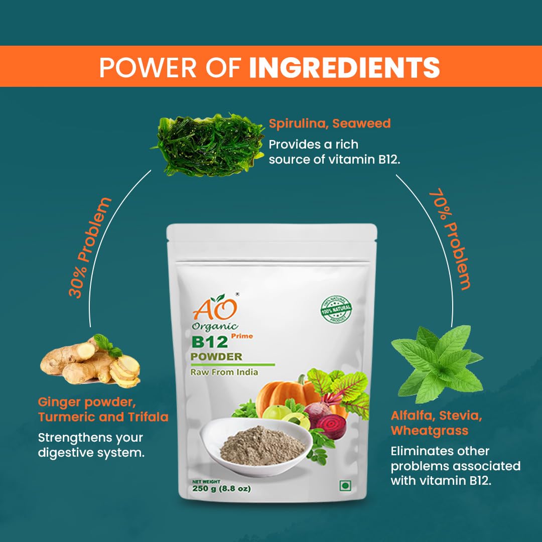 Ao Organic Natural Plant Base B12 Powder - Distacart